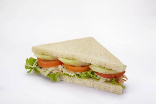 Veg Jain Grilled Sandwich