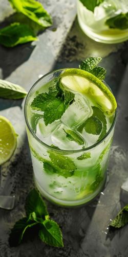Mint mojito 