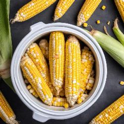 OB Amazing Sweet Corn