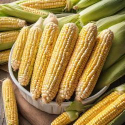 OB Classic Sweet Corn